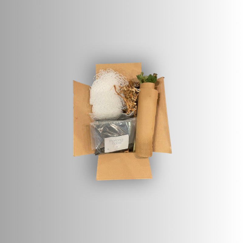 Boxes