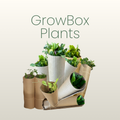 Plants + App Access