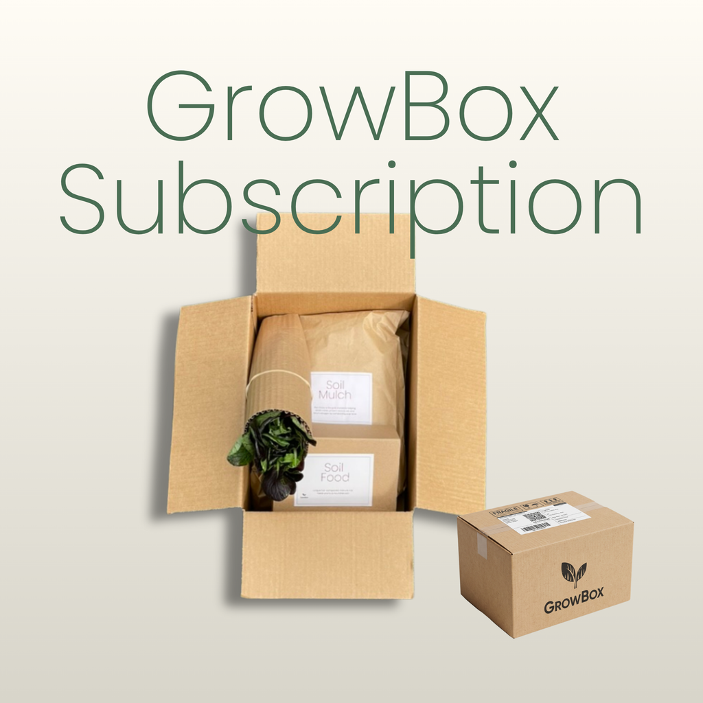 GrowBox Subscription