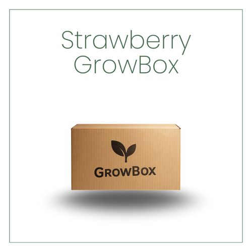 🍓 Strawberry GrowBox – Limited Seasonal Release