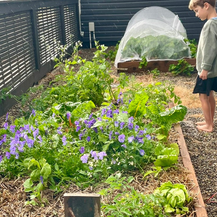 Plants + App Access