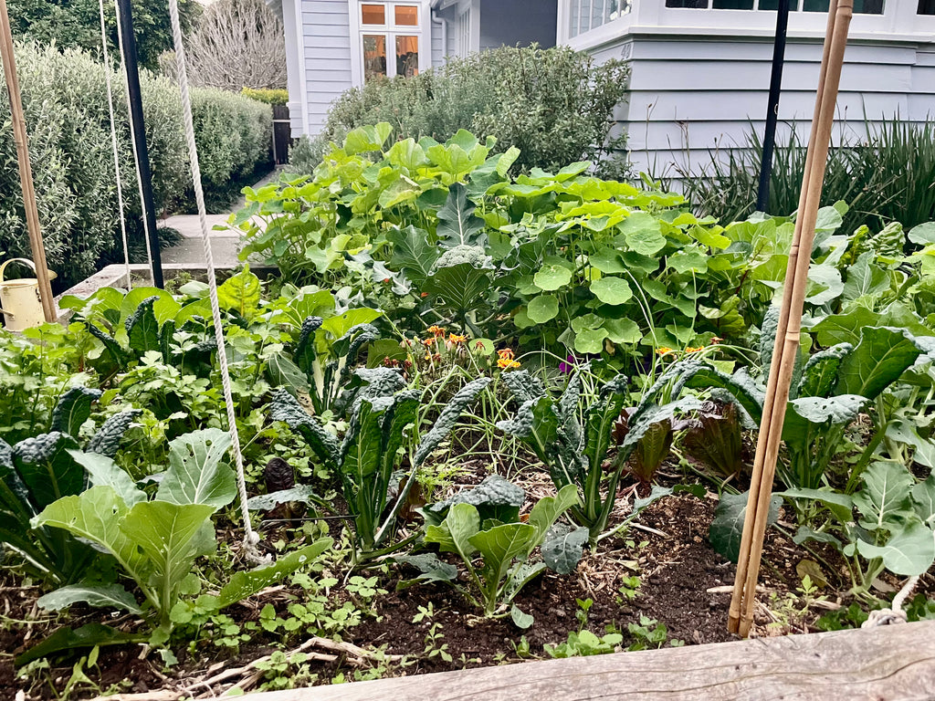 GrowBox Subscription