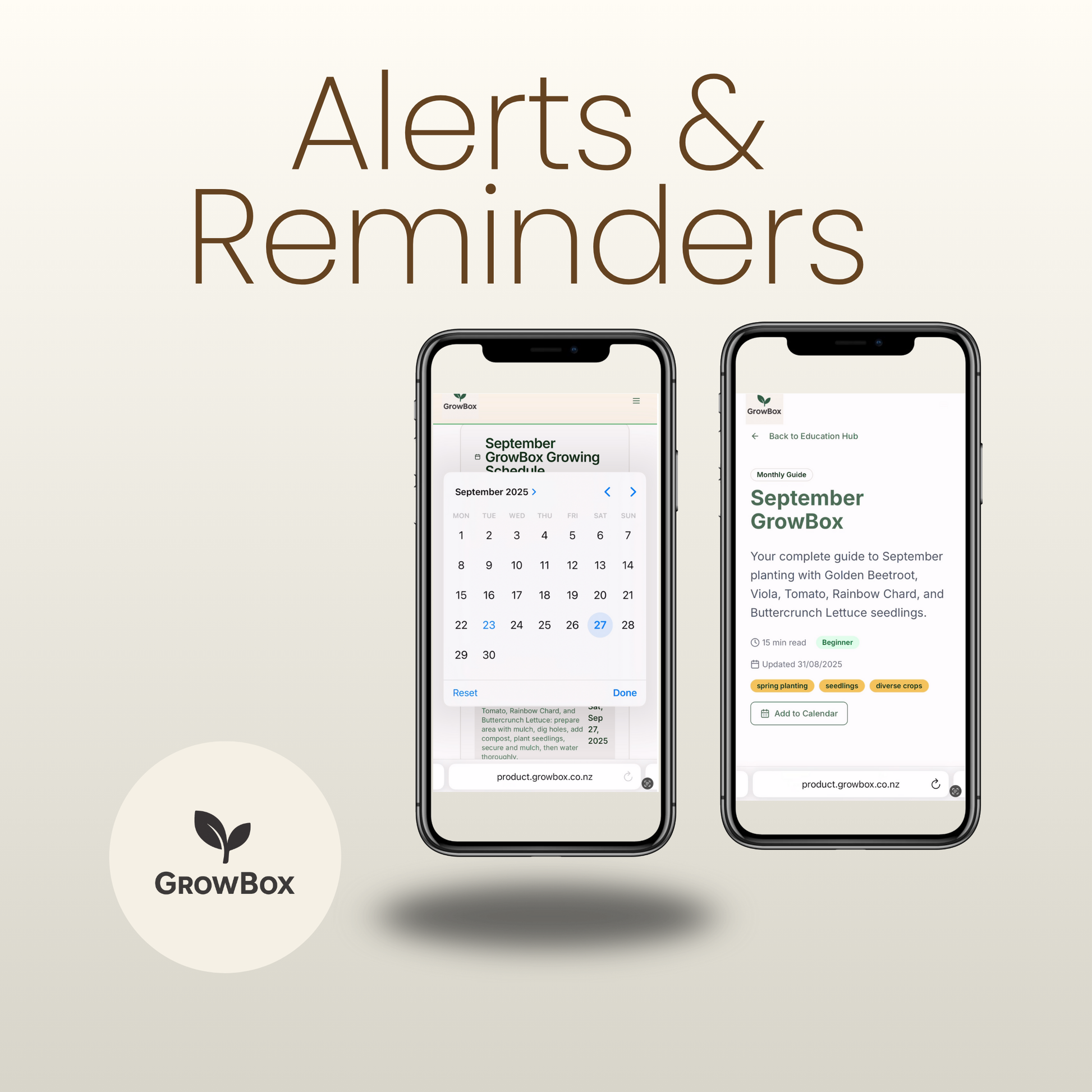 Large Seasonal Box 'One-Off'