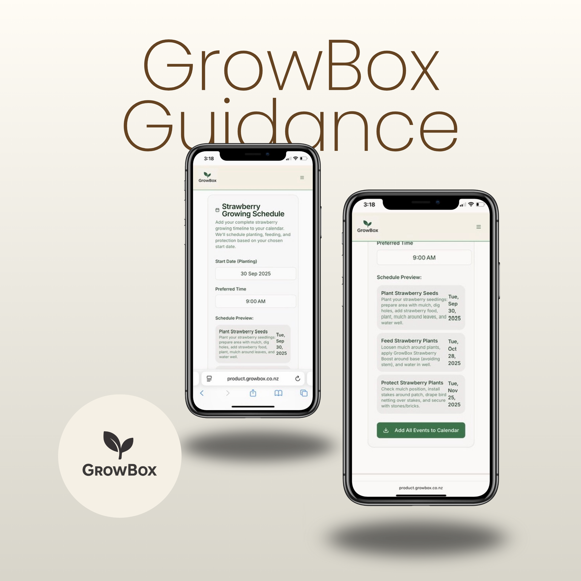 Large Seasonal Box 'One-Off'