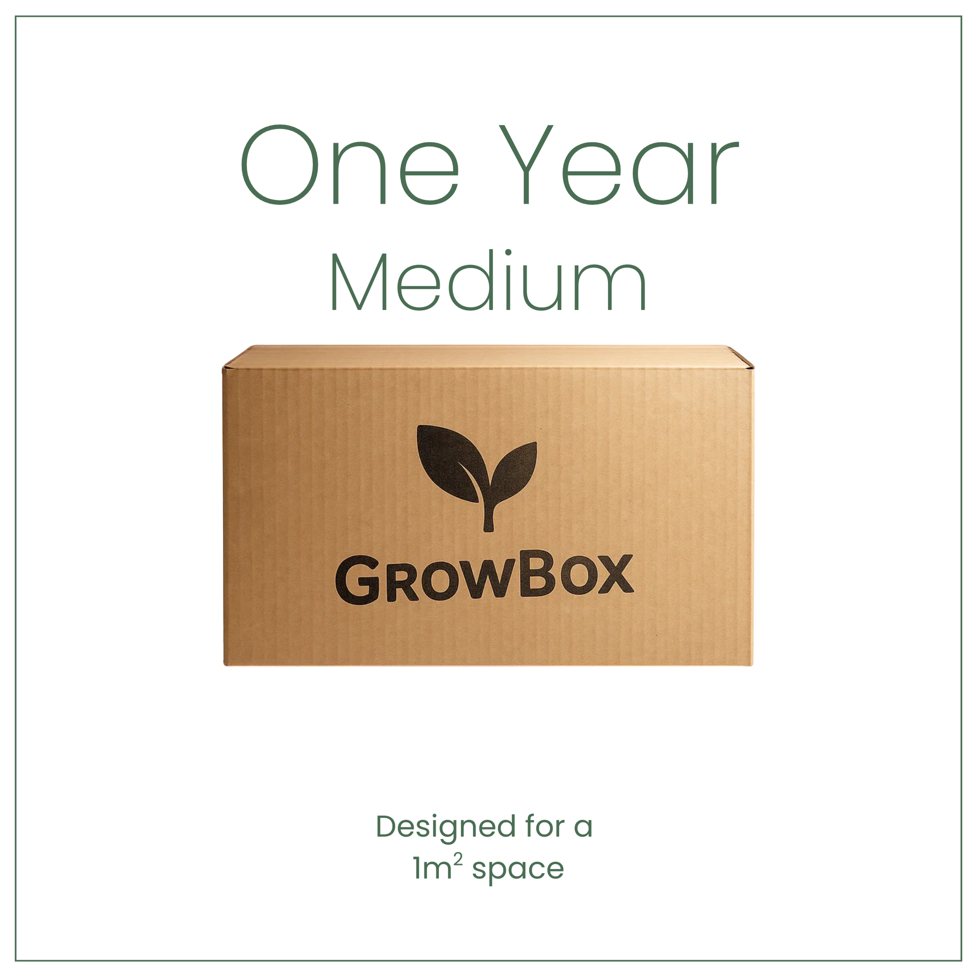 Medium Annual Subscription