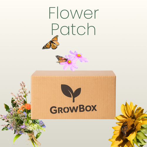 Flower Patch GrowBox