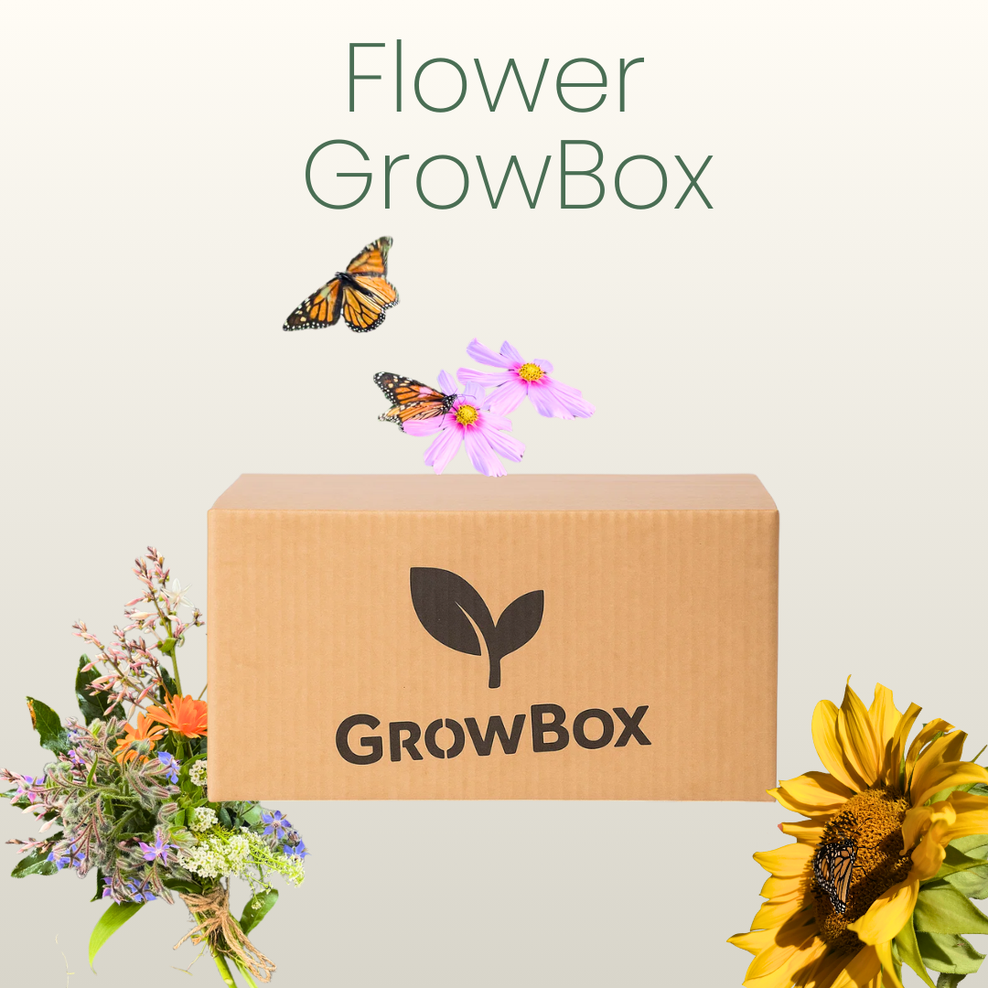 Flower Patch GrowBox