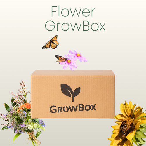 Flower Patch GrowBox