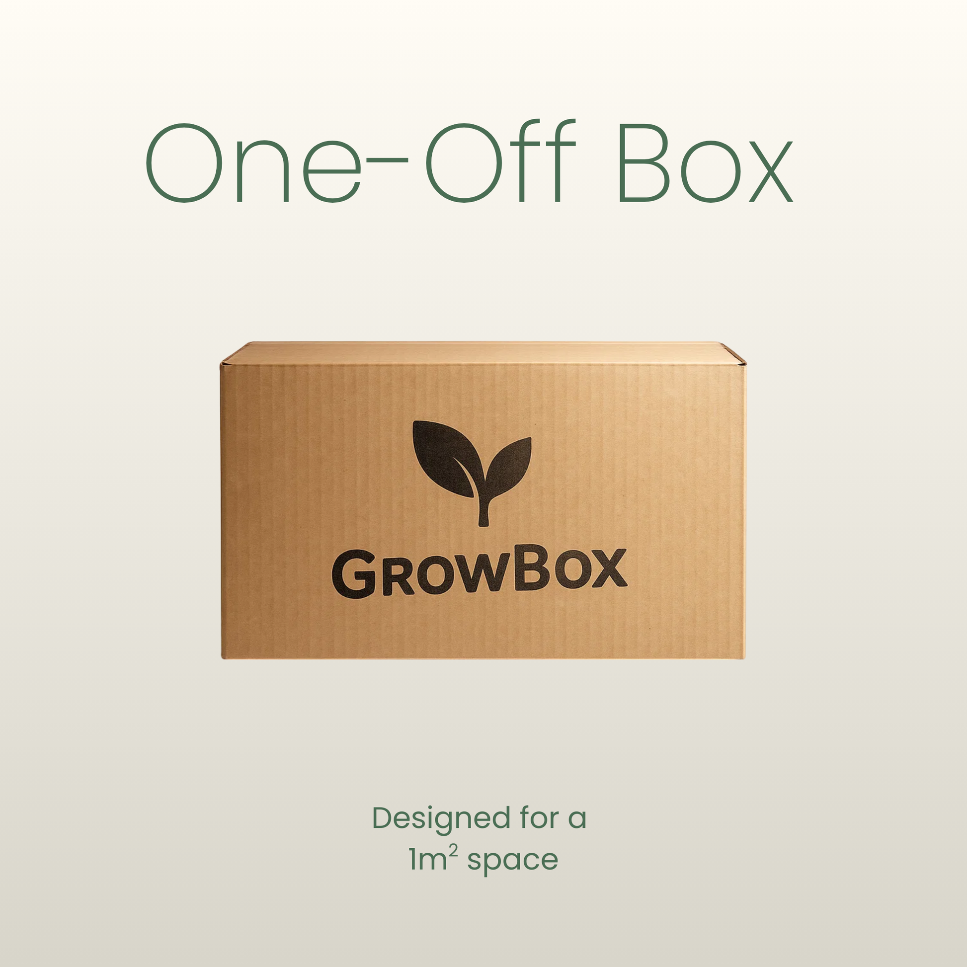 One-Off Box- Medium