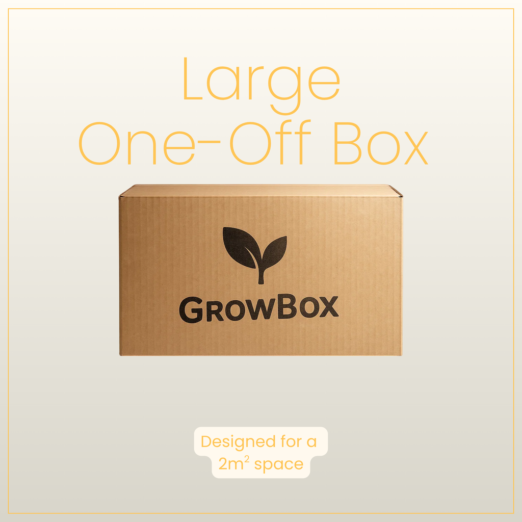 Large Seasonal Box 'One-Off'