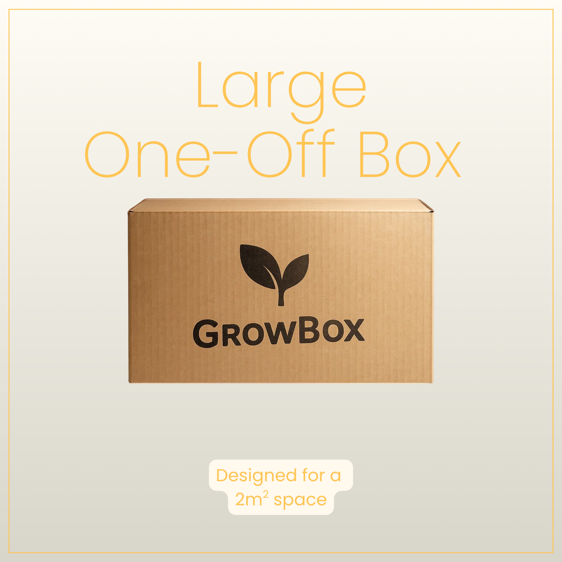 Large Seasonal Box 'One-Off'