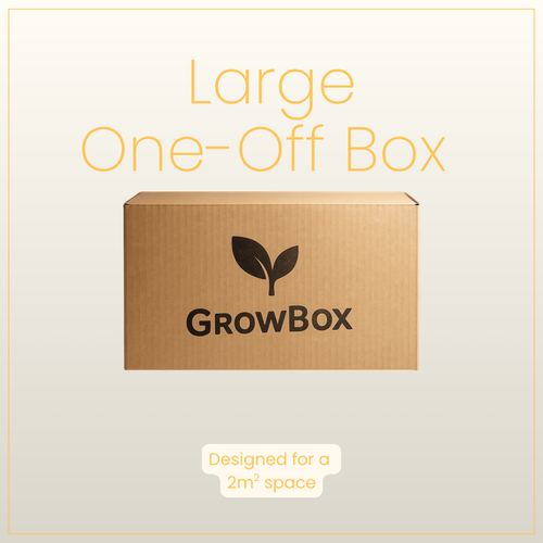 Large Seasonal Box 'One-Off'