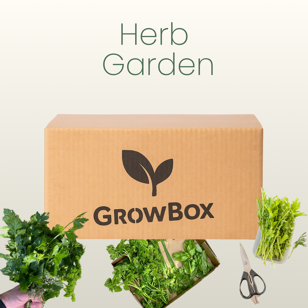 Herb Garden GrowBox
