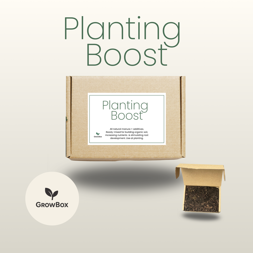 Planting Boost 1L