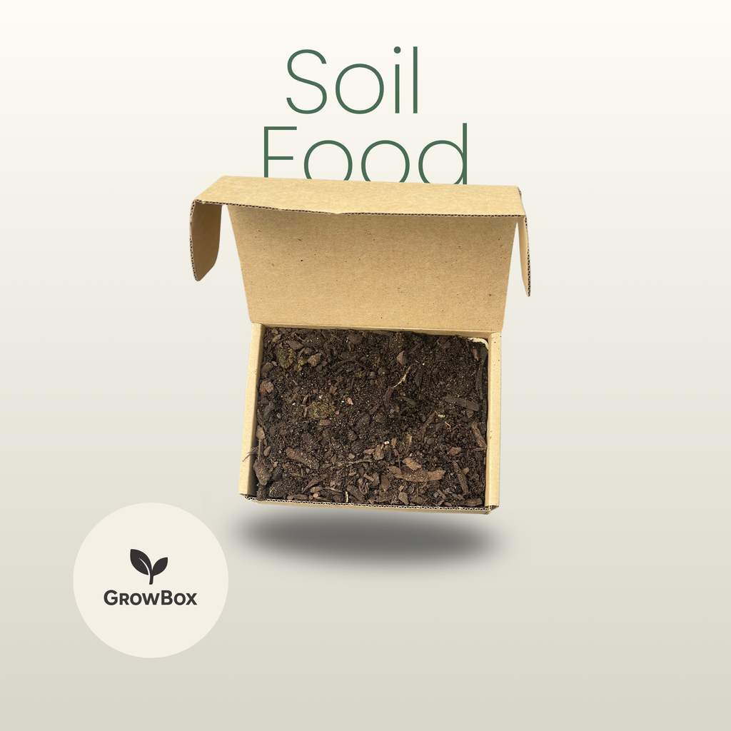 Large Seasonal Box 'One-Off'