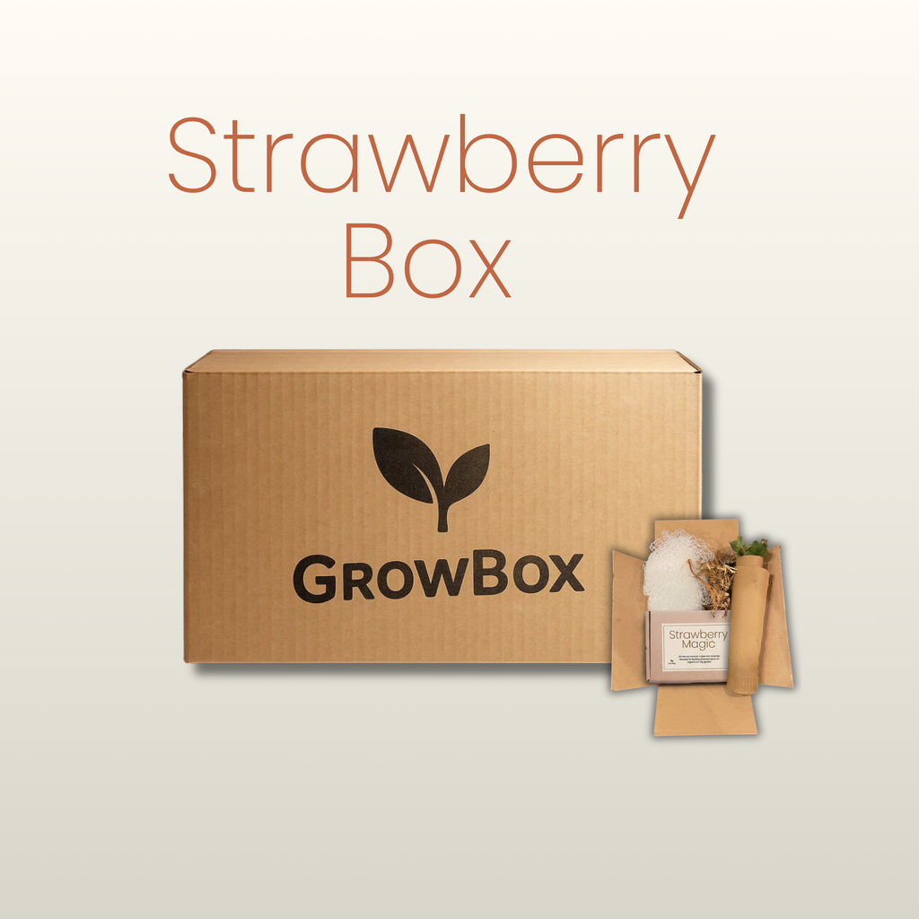🍓 Strawberry GrowBox – Limited Seasonal Release