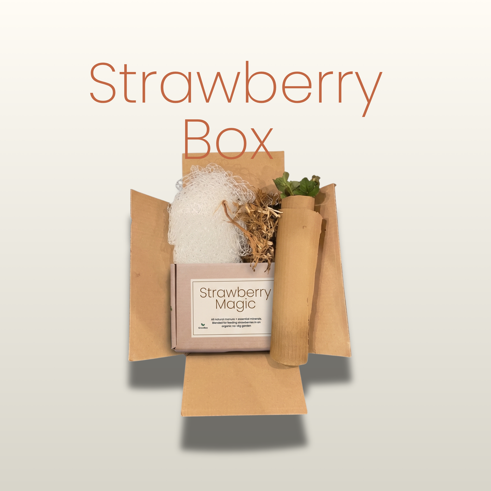 Everything inside the GrowBox Strawberry box