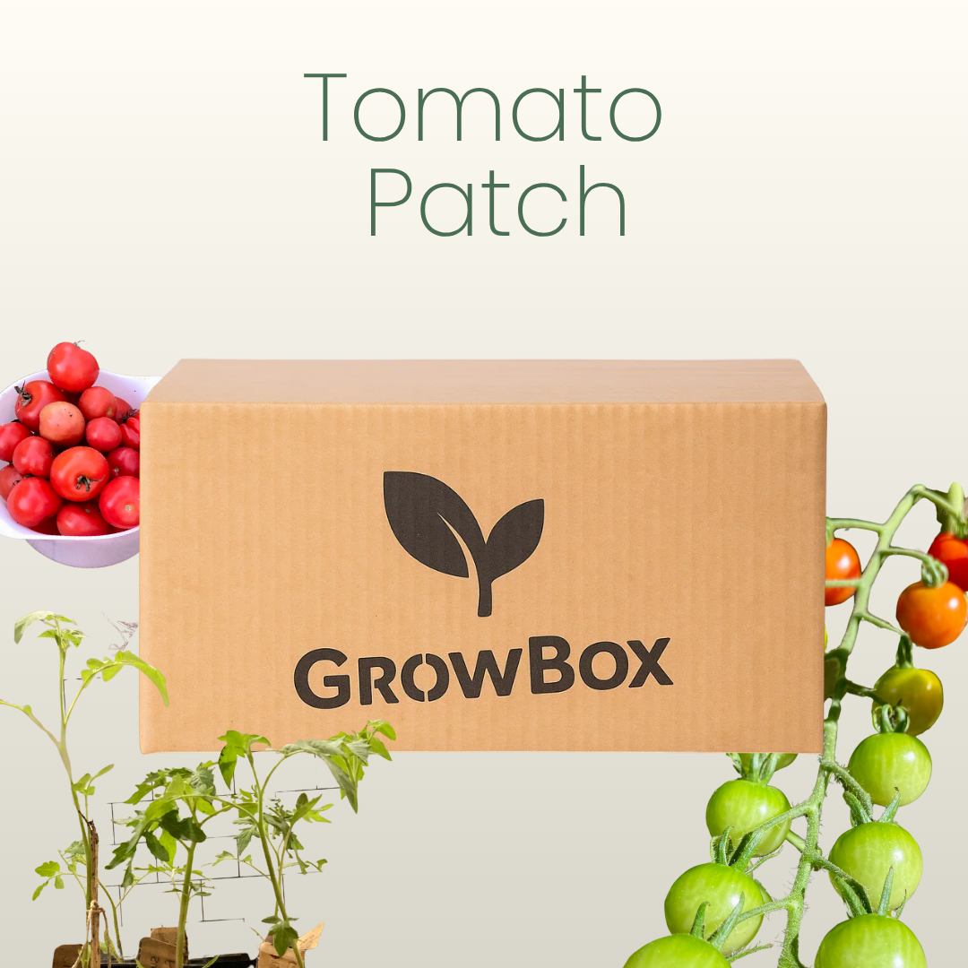 Tomato Patch GrowBox