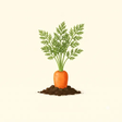 Mature Carrot