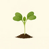 Seedling icon for Radish