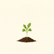 Rocket seedling