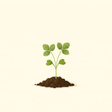 Strawberry seedling