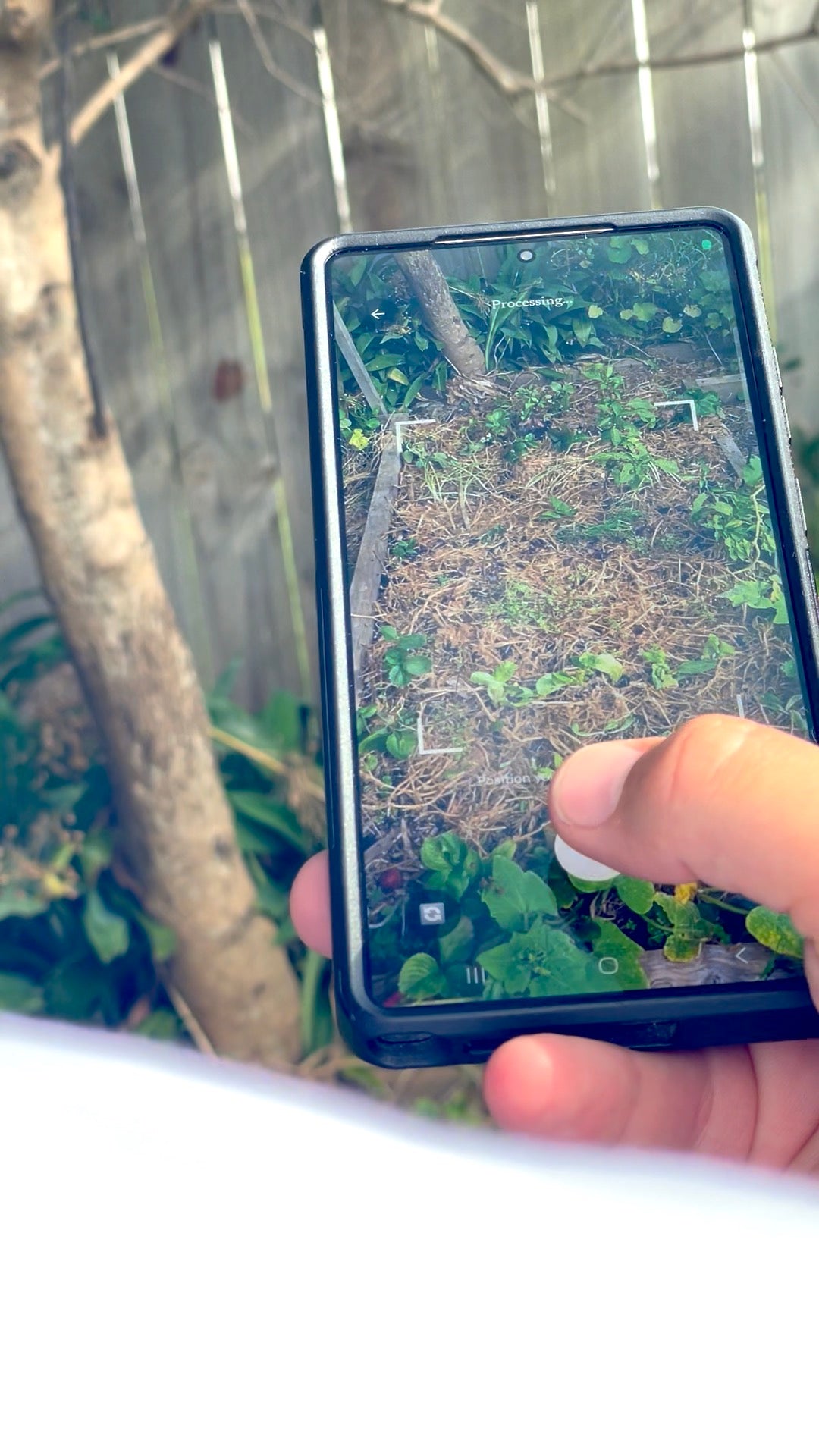 Holding the GrowBox app up to a garden bed while it scans the patch