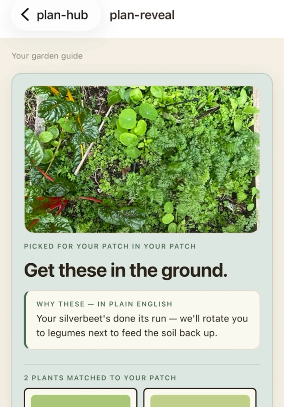 The GrowBox app showing a tailored planting guide for your patch